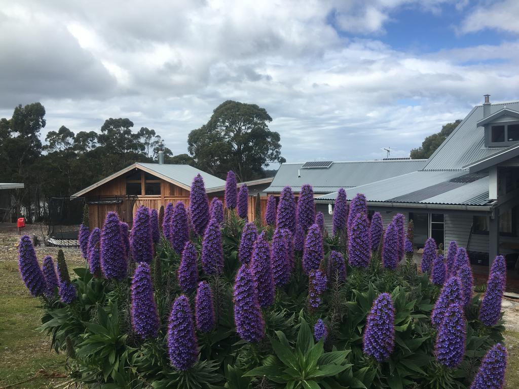 Bruny Island Lodge South Bruny Ngoại thất bức ảnh